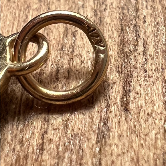 Talon NYC Zodiac Charm, 14Kt gold (Leo) - Picture 5 of 5